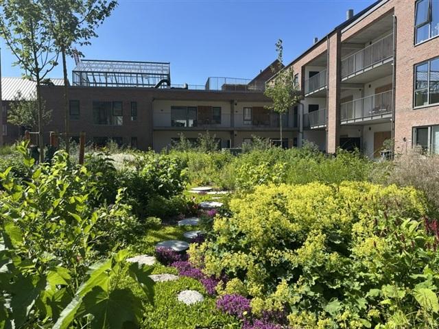 Lejlighed til leje i Nørresundby, Brønderslev-Dronninglund
