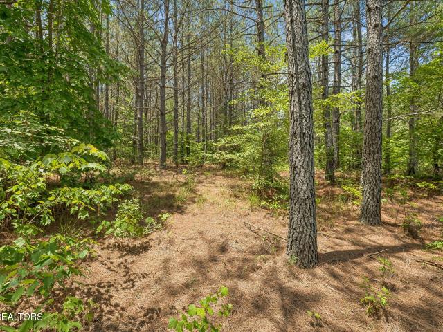 Land for sale in Tennessee