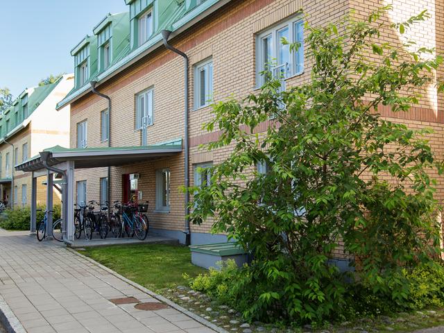 Lägenhet hyra i Piteå, Norrbotten