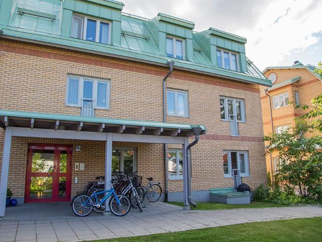 Lägenhet hyra i Piteå, Norrbotten