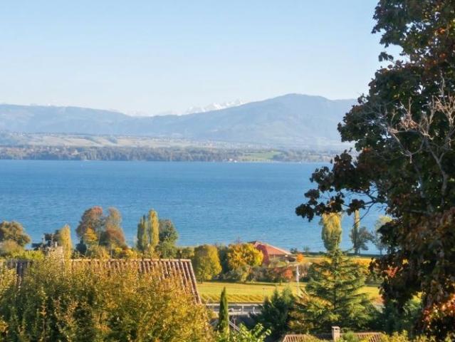 Haus kaufen in Nyon, Waadt