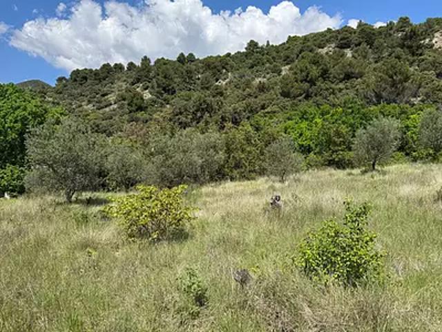 Terrain vente à Nyons, La Maladrerie