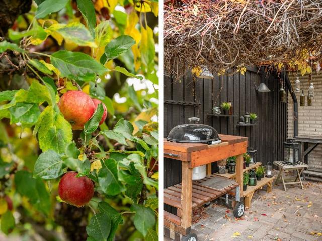 Hus hyra i Höör