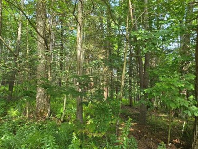 Land for sale in Narrowsburg, Town of Tusten