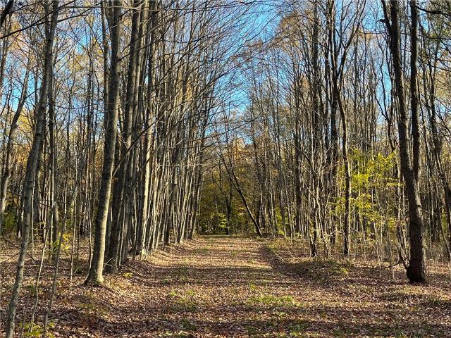 Land for sale in Franklinville, New York