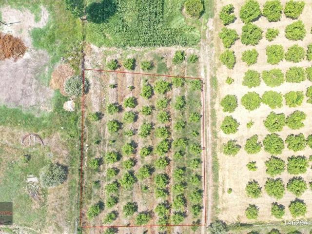 Ortaca, Muğla içerisinde satılık Arsa