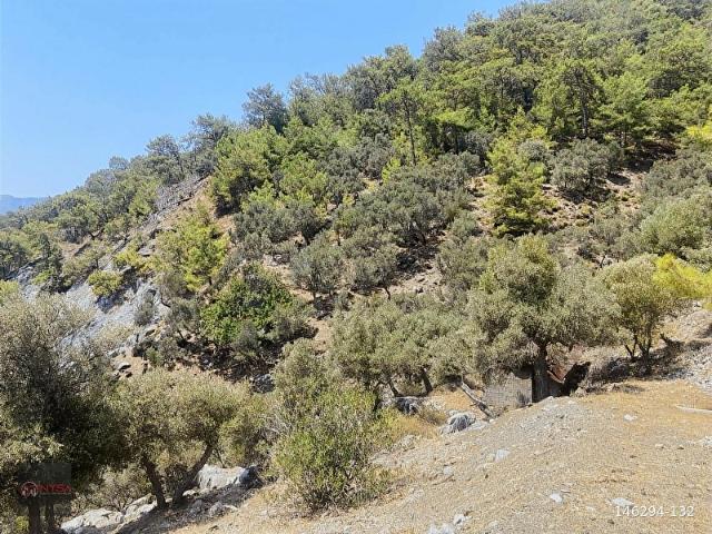 Köyceğiz, Muğla içerisinde satılık Arsa