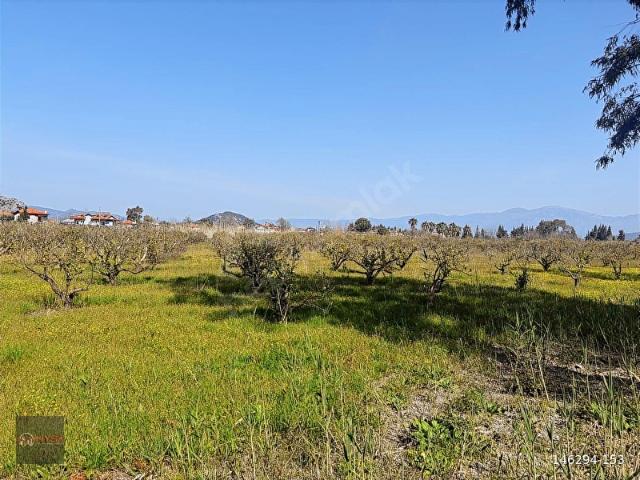 Ortaca, Muğla içerisinde satılık Arsa