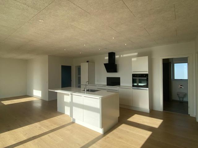 Villa til leje i Viborg, Århus