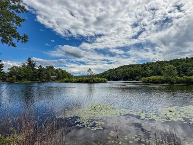 Land for sale in Berkshire, Massachusetts