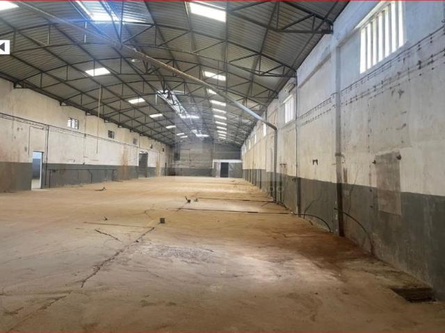 Armazém venda em Santarém