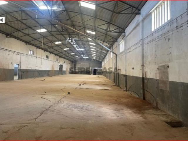 Armazém venda em Santarém