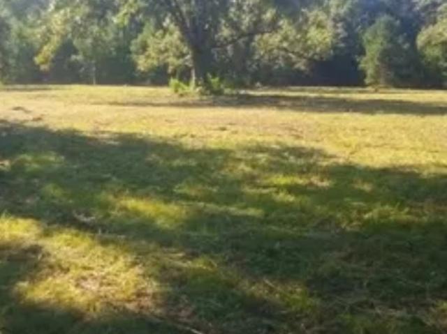 Land for sale in Ashford, Alabama