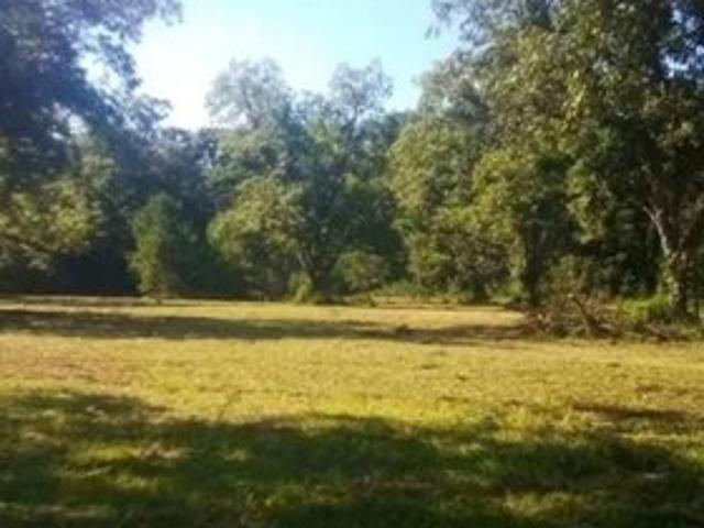 Land for sale in Ashford, Alabama