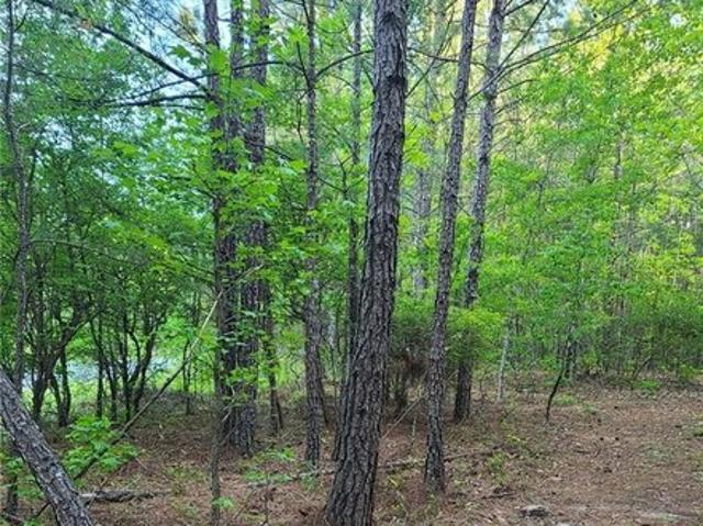 Land for sale in Auburn, Alabama