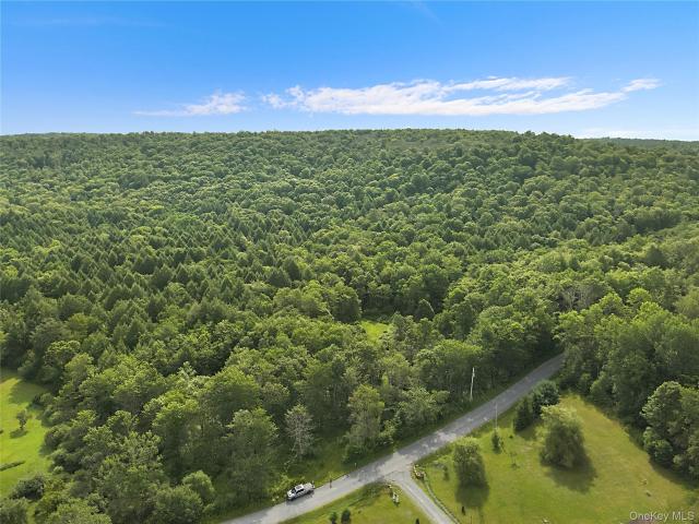 Land for sale in Roscoe, New York