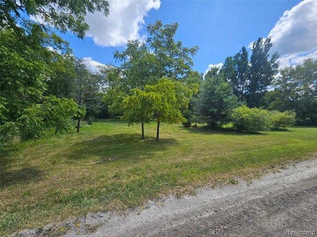 Land for sale in Cohoctah, Michigan