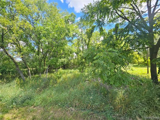 Land for sale in Conway, Michigan