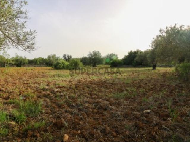 Terreno venda em Faro