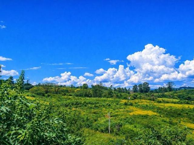 Terreno venda em Região Imediata de Sorocaba, Região Metropolitana de Sorocaba