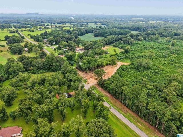 Land for sale in Vincent, Shelby County
