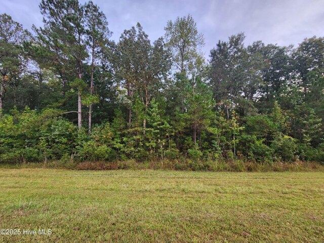 Land for sale in Bolivia, North Carolina