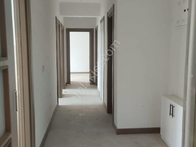 Bağlar, Diyarbakir içerisinde kiralık mülk