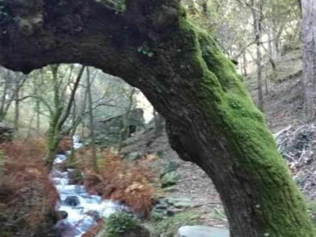 Casa en alquiler en O Morrazo, Galicia