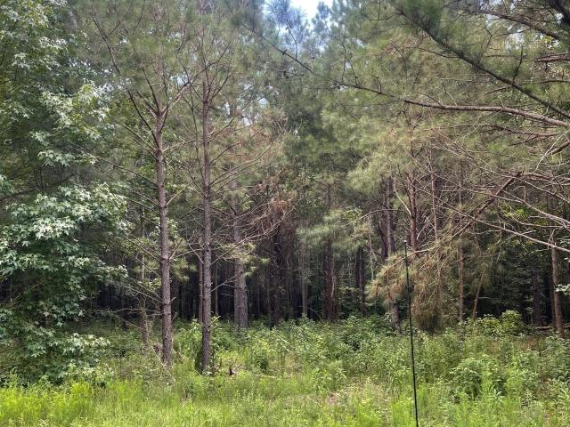 Land for sale in Milner, Georgia