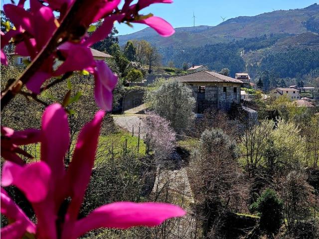 Vivenda venda em Parada Do Bouro, Braga