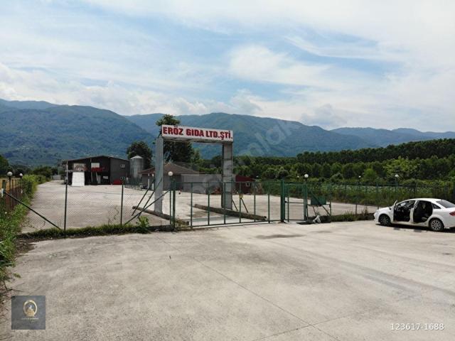 Düzce Merkez, Düzce içerisinde satılık Fabrika