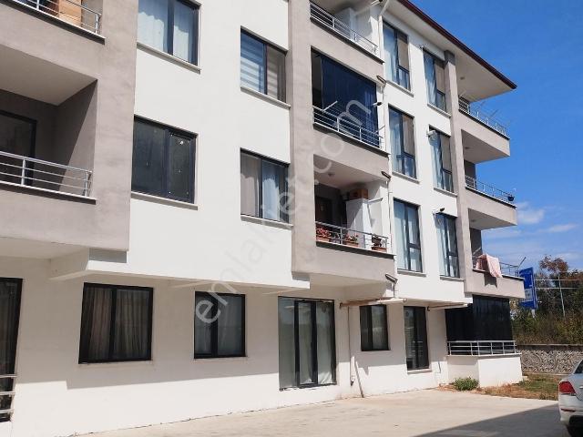 Düzce Merkez, Düzce içerisinde kiralık mülk