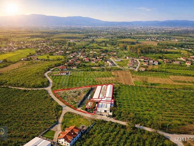 Düzce Merkez, Düzce içerisinde satılık Fabrika