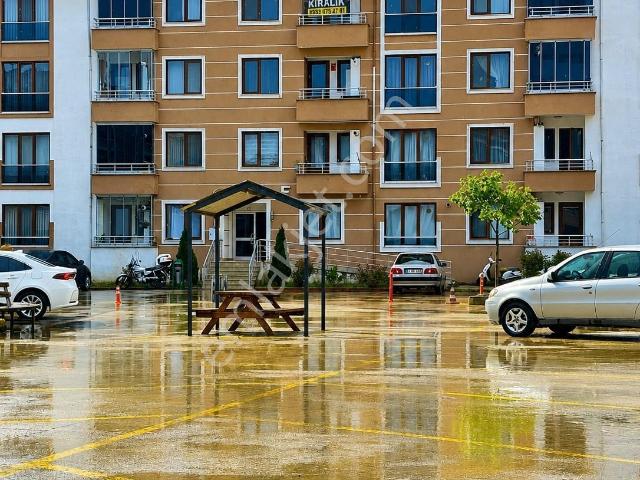 Düzce Merkez, Düzce içerisinde kiralık mülk
