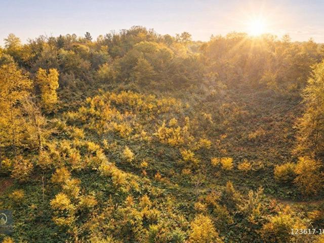 Kaynaşli, Düzce içerisinde satılık Arsa