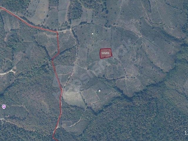 Düzce Merkez, Düzce içerisinde satılık Arsa