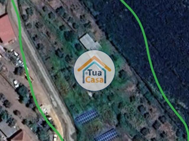 Terreno venda em Castelo Branco