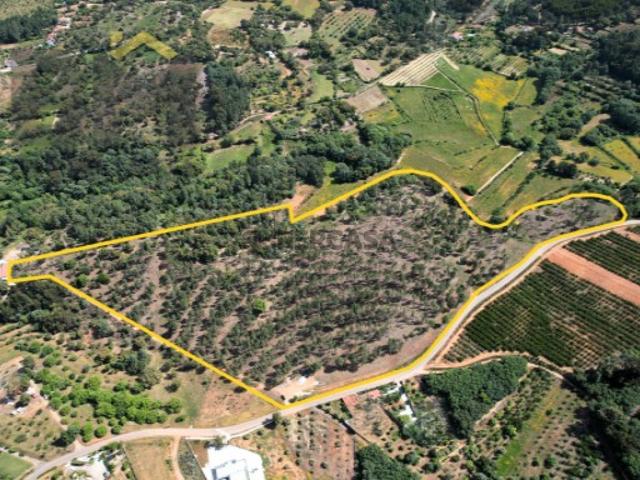 Terreno venda em Castelo Branco, Aldeia Nova Do Cabo