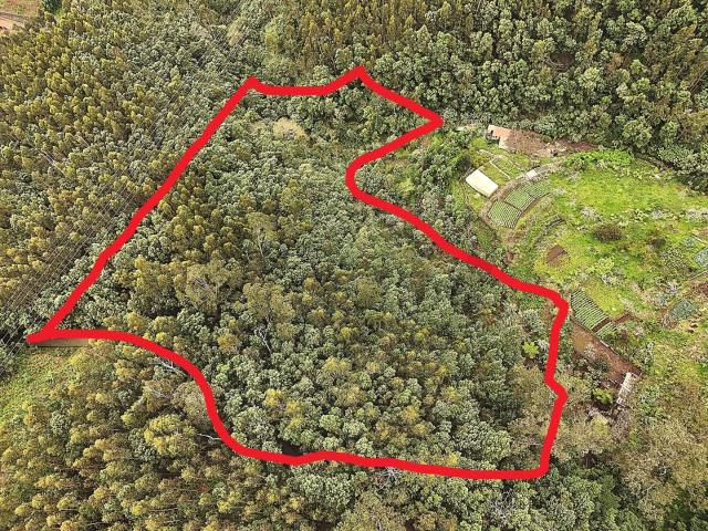 Terreno venda em Luso-brasileira, Funchal