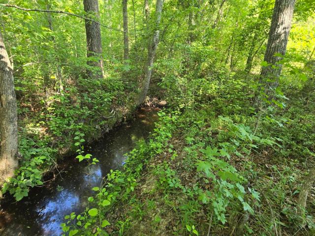 Land for sale in Alamance, North Carolina