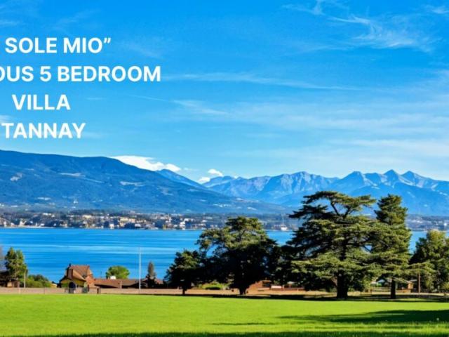 Einfamilienhaus kaufen in Tannay, Waadt