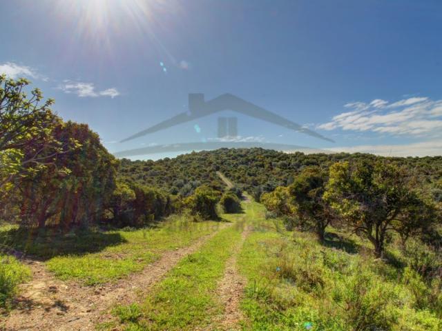 Quinta venda em Luz de Tavira, Tavira