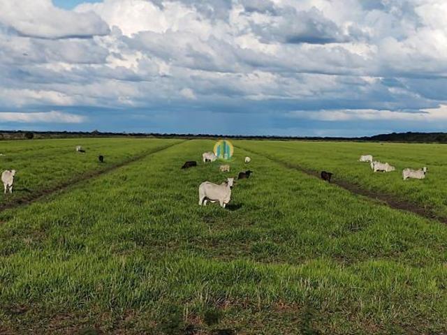 Sitio venda em Miranda, Miranda