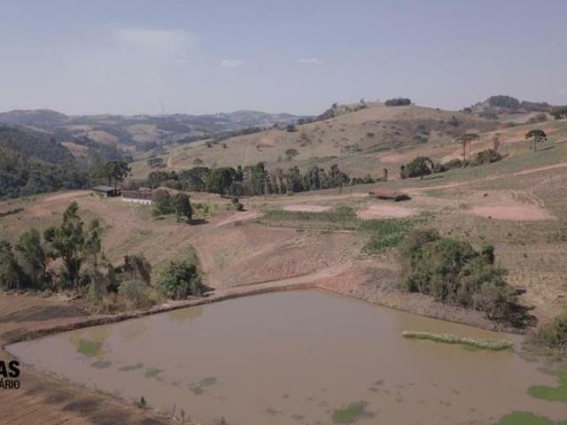 Sítio e chácara venda em Munhoz, Minas Gerais