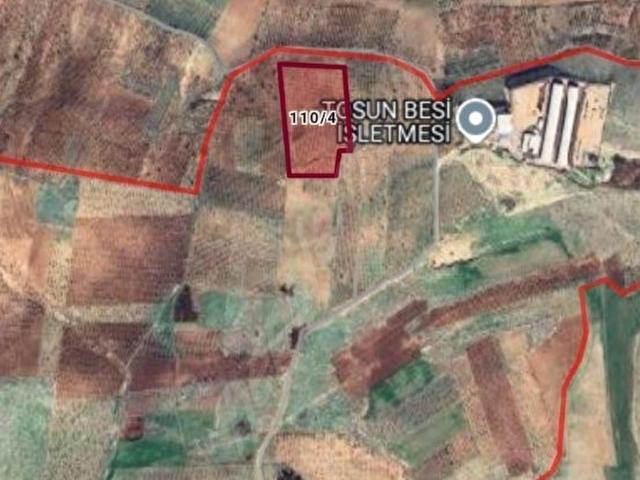 Şıh Küçükkaracaviran Mahallesi, Oğuzeli içerisinde satılık mülk