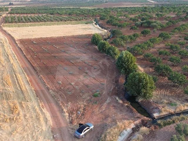 Altınyurt Mahallesi, Oğuzeli içerisinde satılık mülk