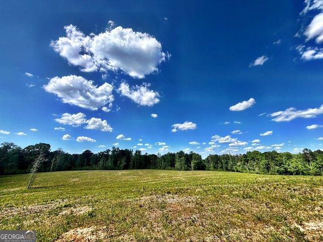 Land for sale in Musella, Crawford County