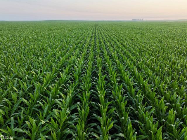 Land for sale in Guthrie, Iowa