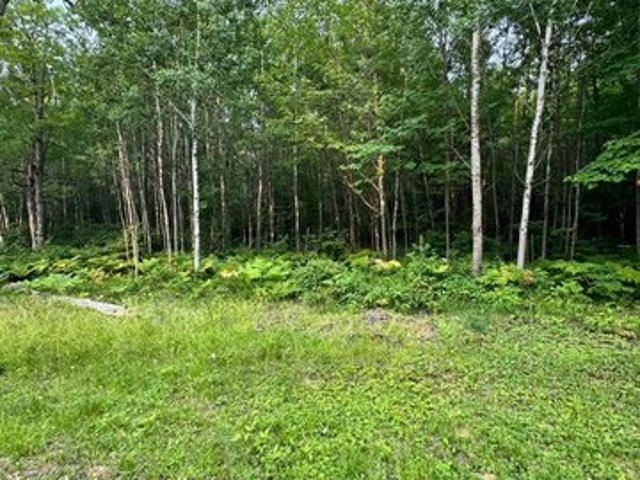 Land for sale in Vilas, Wisconsin