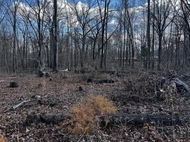 Land for sale in Tennessee